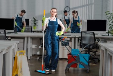 wall-idoine-scaled wall-idoine-scaled